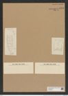 Hemiaulus danicus Grun. (de-Toni-Nr.: Genus 117, Species 3379) Zeichnungen Sammlung Grunow Nr. 6794 (NHMW-BOT-W0375634)
